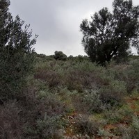 Land plot in Greece