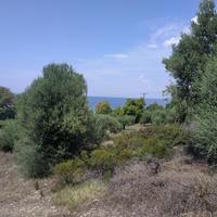 Земельный участок в Греции