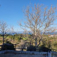 Business center in Greece, 270 sq.m.