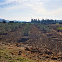 Земельный участок в Греции