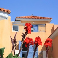 Квартира на Кипре, 80 кв.м.