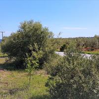 Land plot in Greece