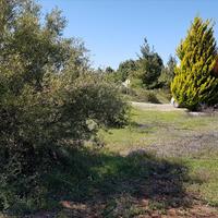 Land plot in Greece