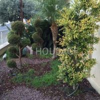 Flat in Republic of Cyprus, Lemesou, 335 sq.m.