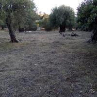 Land plot in Greece
