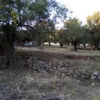 Land plot in Greece