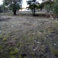 Land plot in Greece