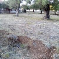 Land plot in Greece