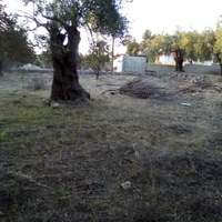 Land plot in Greece