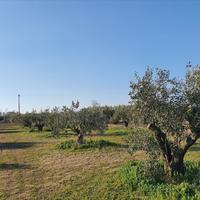 Земельный участок в Греции