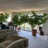 Business center in Greece, 367 sq.m.