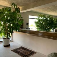 Business center in Greece, 367 sq.m.