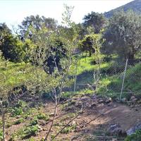 Земельный участок в Греции