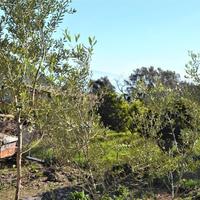 Земельный участок в Греции