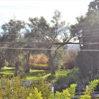 Другое в Греции, 240 кв.м.