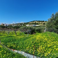 Земельный участок в Греции