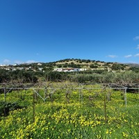 Земельный участок в Греции