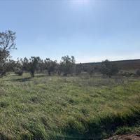 Земельный участок в Греции