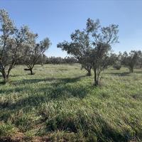 Земельный участок в Греции