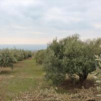 Land plot in Greece