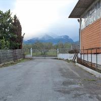 Бизнес-центр в Греции, 1000 кв.м.