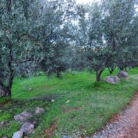 Земельный участок в Греции