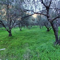 Земельный участок в Греции