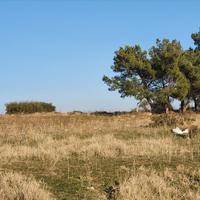 Land plot in Greece
