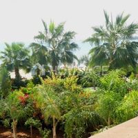 Вилла на Кипре, Айя-Напа, 135 кв.м.