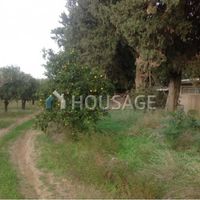 Land plot in Republic of Cyprus, Lemesou