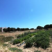 Land plot in Greece