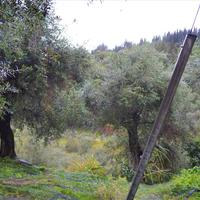 Land plot in Greece