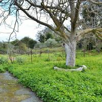 Other in Greece, 220 sq.m.