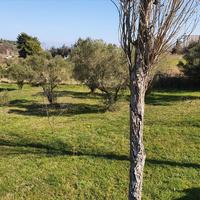 Hotel in Greece, 260 sq.m.