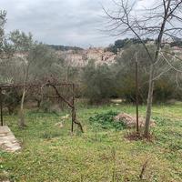 Land plot in Greece, 50 sq.m.