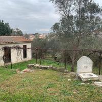 Land plot in Greece, 50 sq.m.