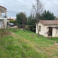 Land plot in Greece, 50 sq.m.
