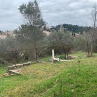 Land plot in Greece, 50 sq.m.