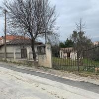 Land plot in Greece, 50 sq.m.