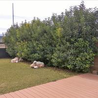 Villa in Greece, 580 sq.m.