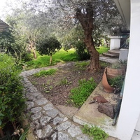 Другое в Греции, 130 кв.м.