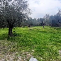 Land plot in Greece