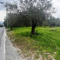 Land plot in Greece