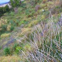 Земельный участок в Греции