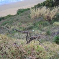 Земельный участок в Греции