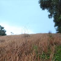 Земельный участок в Греции