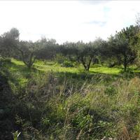 Land plot in Greece