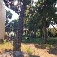 Land plot in Greece