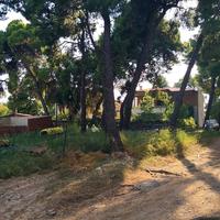 Land plot in Greece