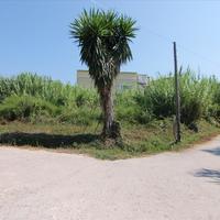 Land plot in Greece